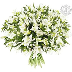 ЛИЛИЯ БЕЛАЯ 25 ШТ.