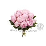 ПИОНЫ РОЗОВЫЕ-15ШТ. РУСКУС 10ШТ.